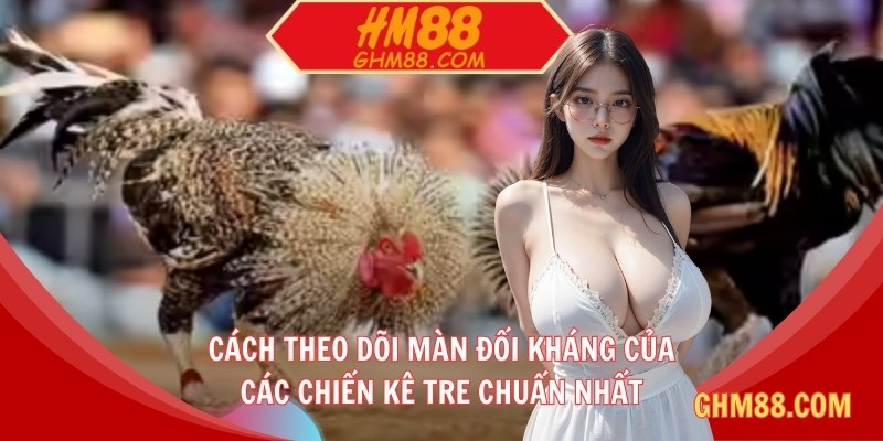Cách theo dõi màn đối kháng của các chiến kê tre chuẩn nhất