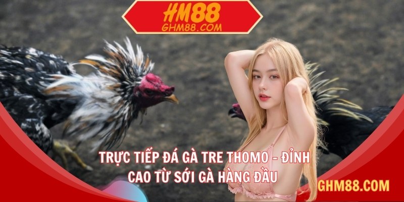 Trực tiếp đá gà tre Thomo